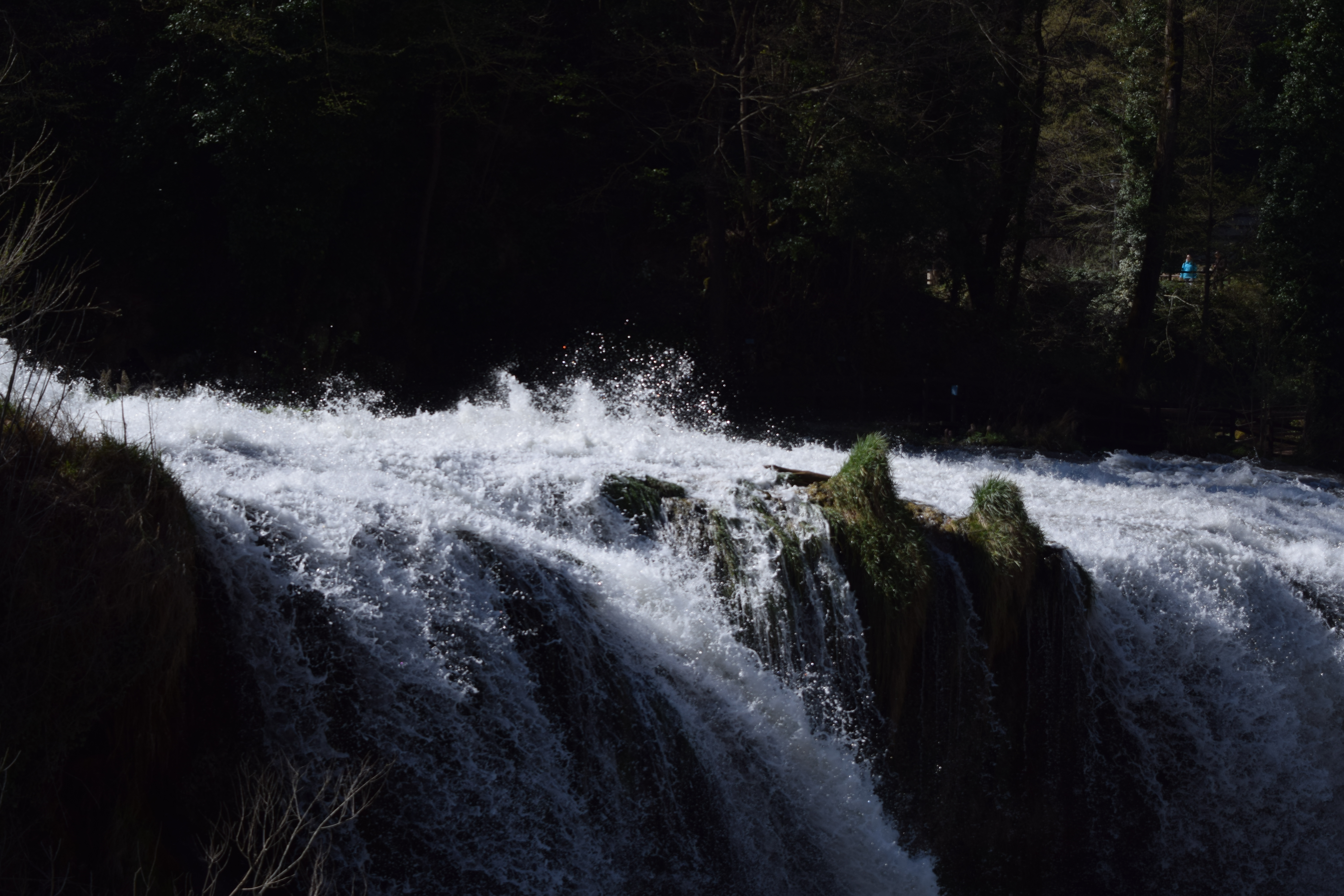 DSC_0983