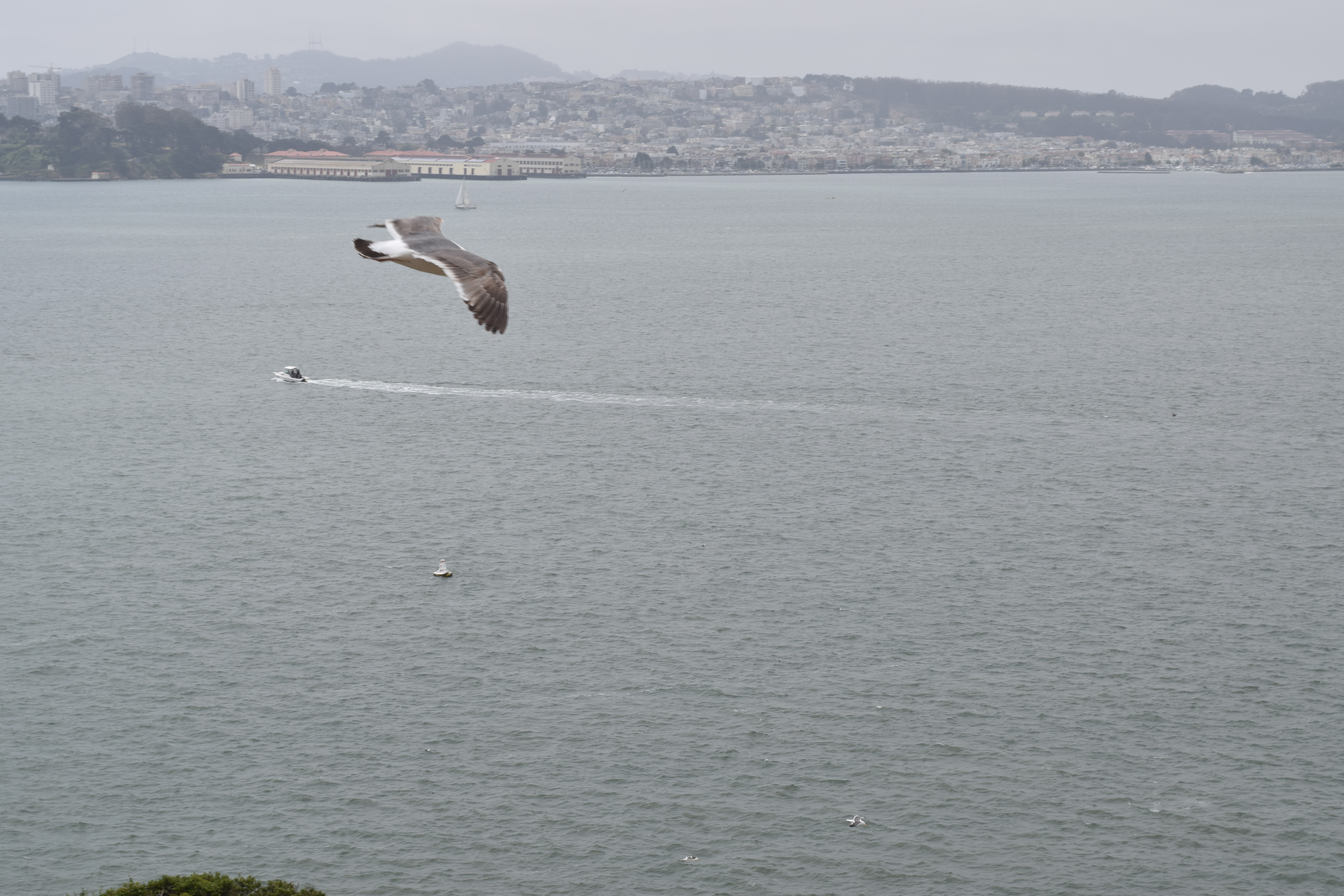 DSC_0173