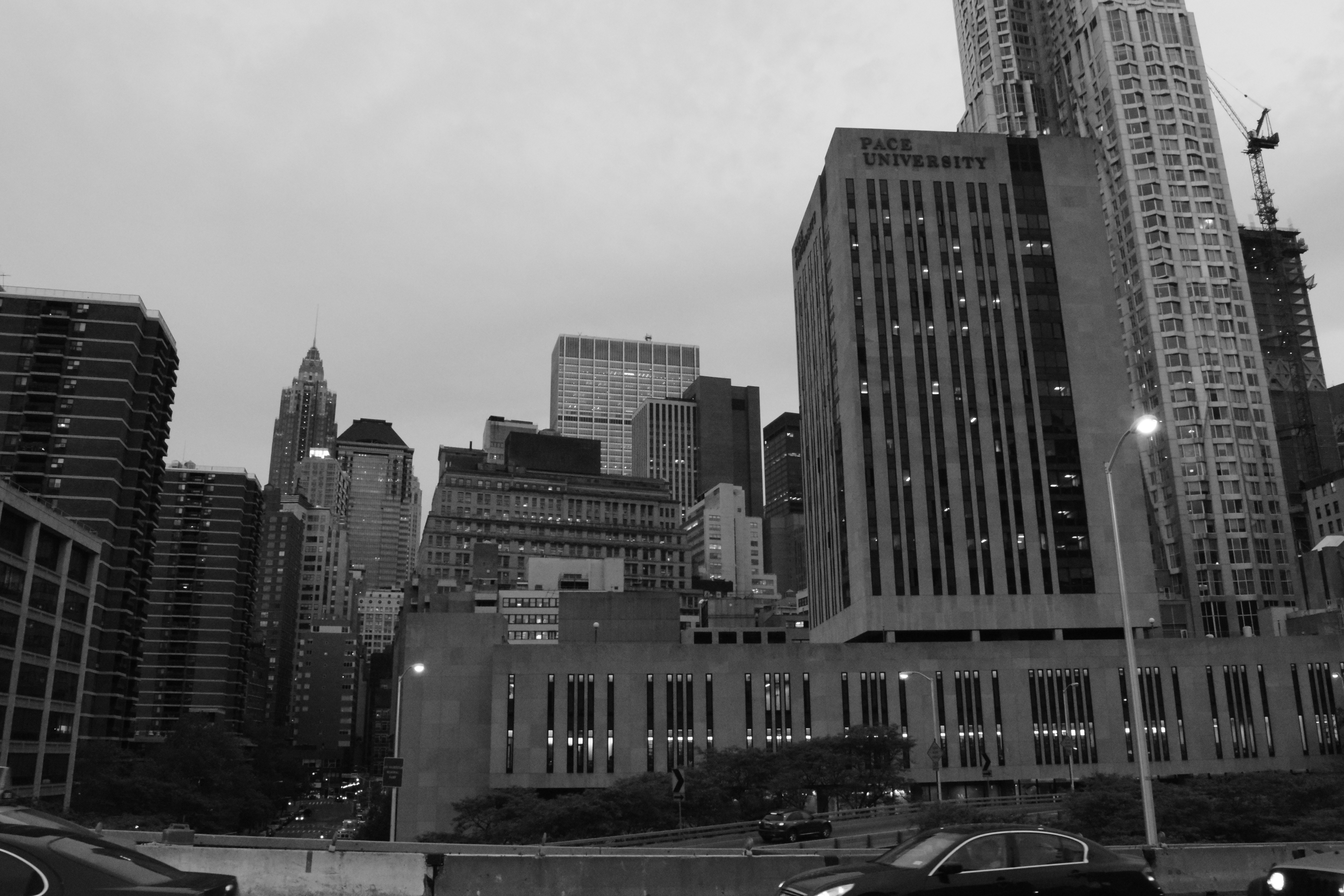 DSC_0306