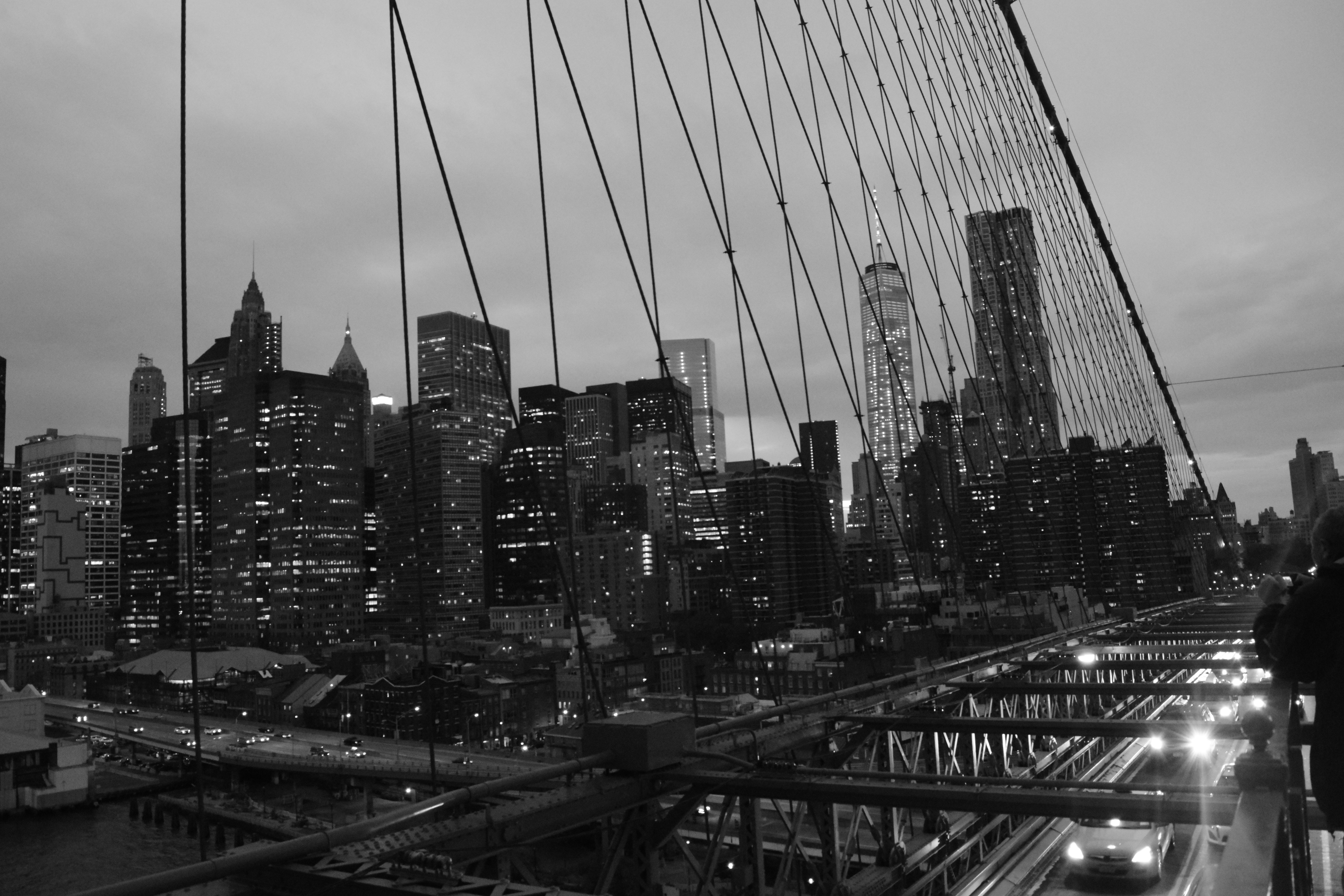 DSC_0339