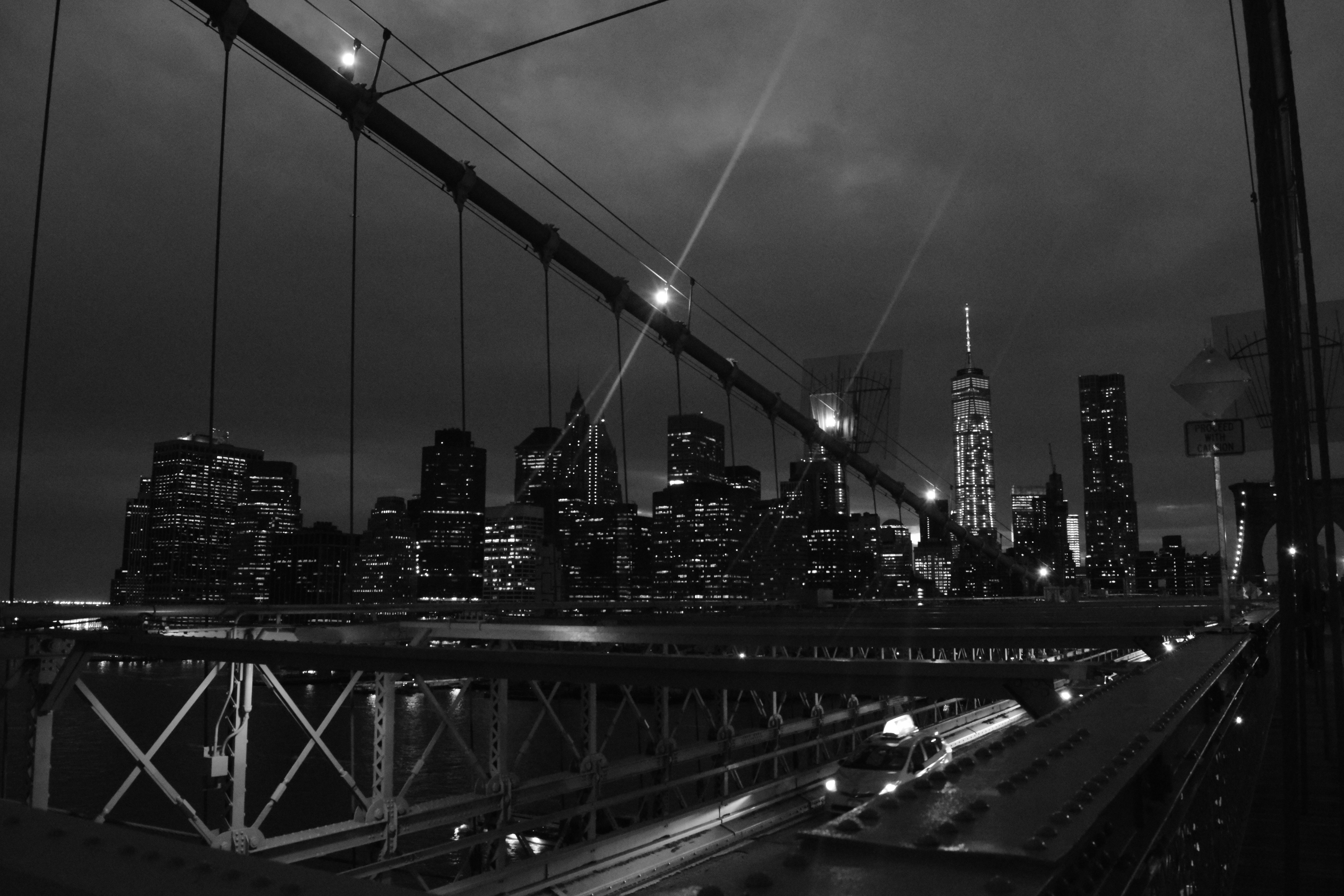 DSC_0349
