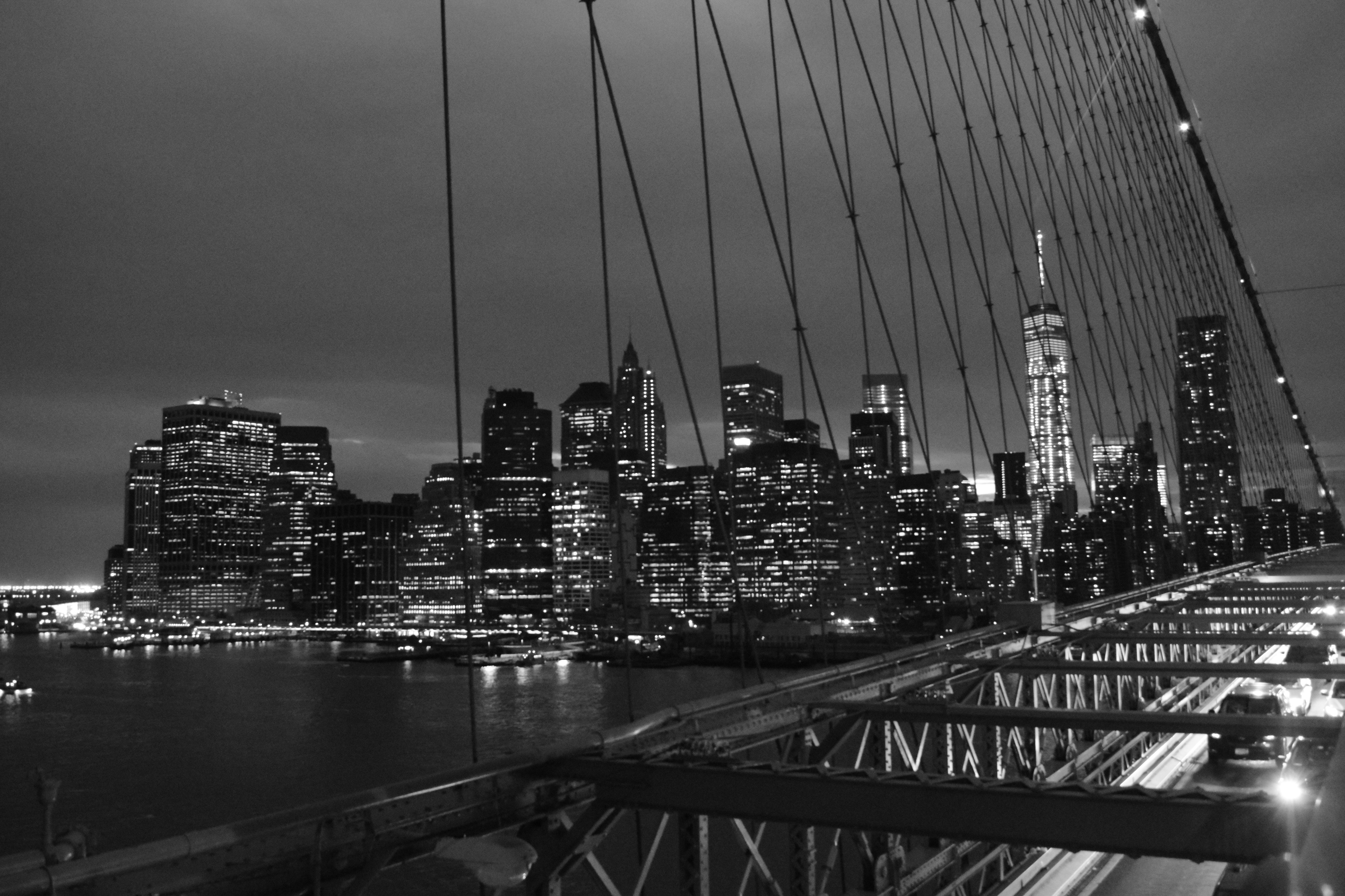 DSC_0355