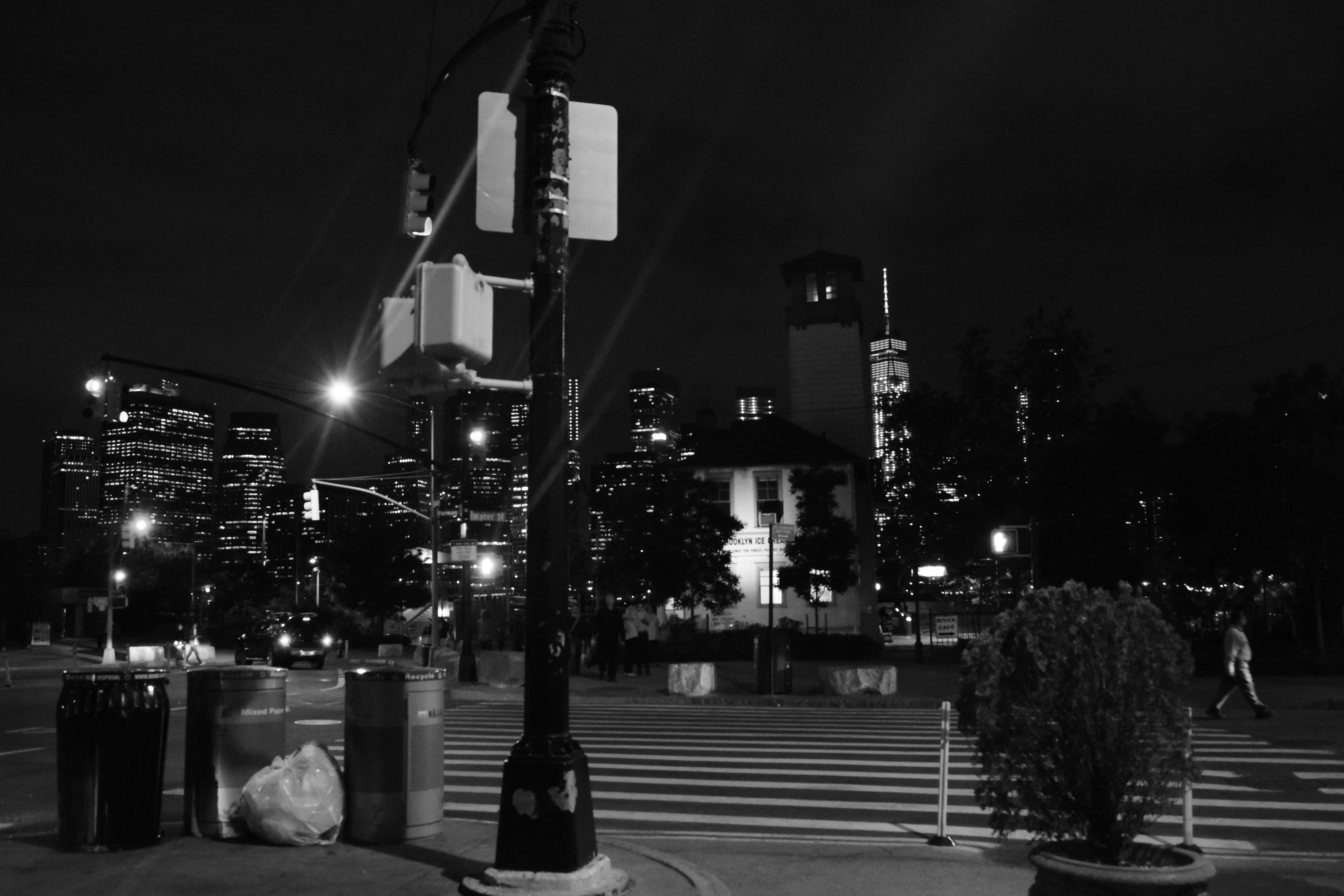 DSC_0381